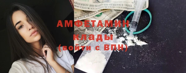 индика Магас