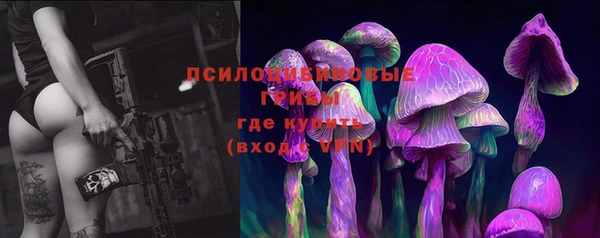 индика Магас