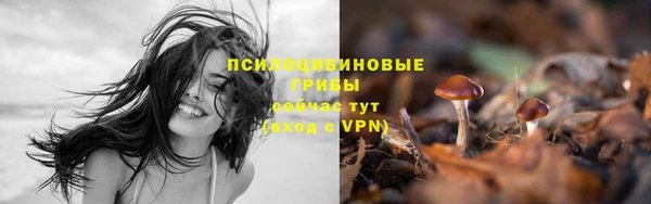сатива Майский