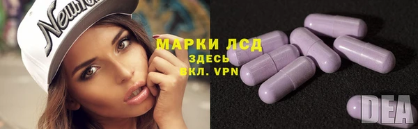 индика Магас