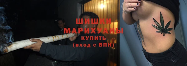 сатива Майский