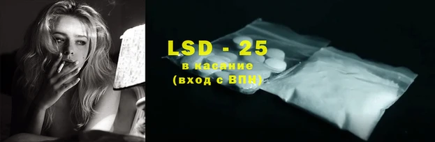 индика Магас