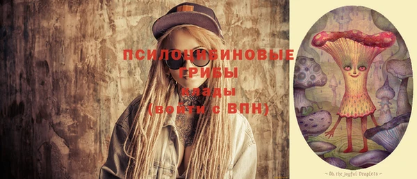 индика Магас