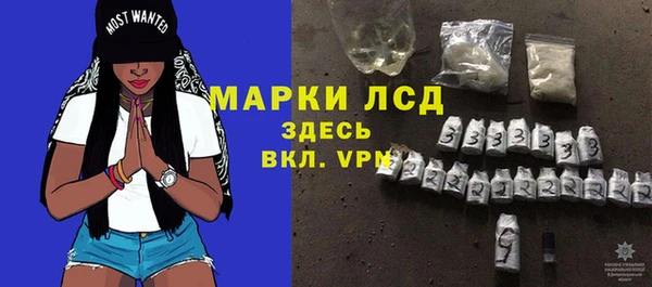 индика Магас