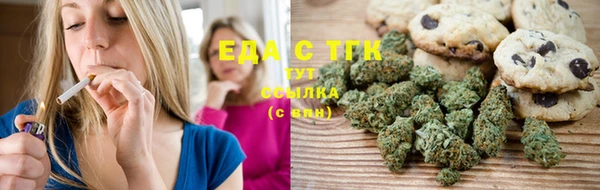 индика Магас